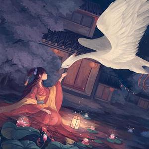 印度尼西亚男同志黄色色情视频网站
